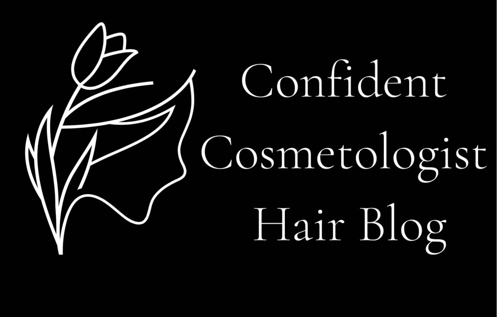 confident cosmetologist hair blog